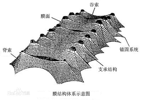 1456374670790622.jpg
